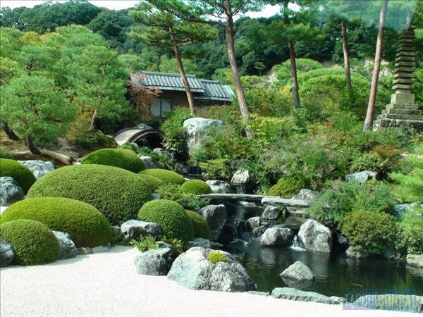 Bonsai, cay canh nghe thuat, cây cảnh nghệ thuật, cay the, cây thế, triển lãm bonsai, trien lam bonsai, triển lãm cây thế, trien lam cay the